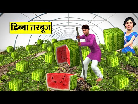 Box Shaped Watermelon Farming Skills By Kisan Desi Jugad Hindi Kahaniya Hindi Stories Moral Stories