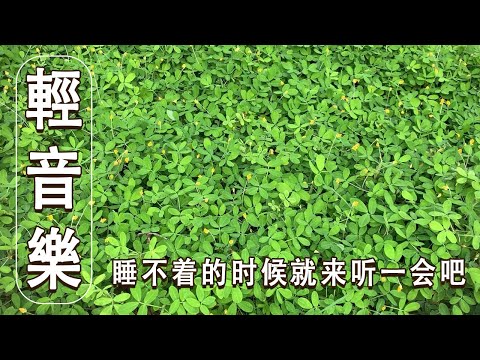 睡不着的时候就来听一会吧～纯钢琴曲（輕音樂）