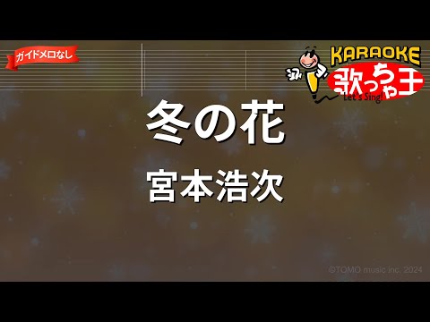 【ガイドなし】冬の花/宮本浩次【カラオケ】