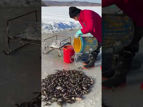 Fishing hunting đ #1millionsubcriber #1millonveiws #fishing