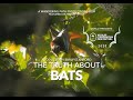 Understanding the Importance and Threats to Bats