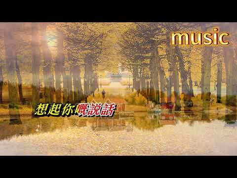 小鳥高飛 甄妮KTV 伴奏 no vocal 無人聲 music 純音樂 karaoke 卡拉OK 伴唱 instrumental小鳥高飛 甄妮