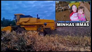COLHEITA MILHO
