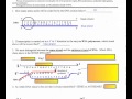 Transcription and Codon Concepts