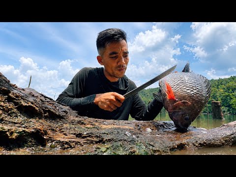 ĂN SỐNG Tại Chỗ - 5 Ngày Ngủ Rừng Săn Lùng Cá Lớn survival fishing Camping Deep in the Forest