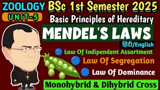 BSc 1st Semester//Basic Principles of Hereditary//Mendel's Laws in Hindi/Monohybrid & Dihybrid Cross