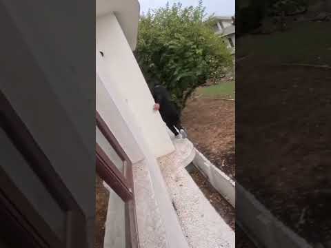 Bhai ke sath prank hogeya credit for aalyan vlogs