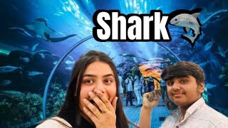 Went to *Viral Instagram place* called *Sea World Carnival *Noida stadium 12/22😱 and this happened