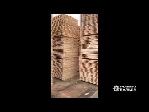 Близько сотні кубів вилученої деревини та бурштин: на Маневиччині тривають масштабні обшуки