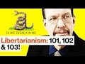 Understanding Libertarianism and Modern Politics