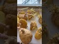 Preparing and Growing Potatoes