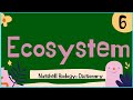 Ecosystem Interactions and Components