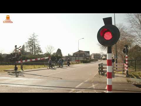 DUTCH RAILROAD CROSSING - Maarheeze – Stationslaan