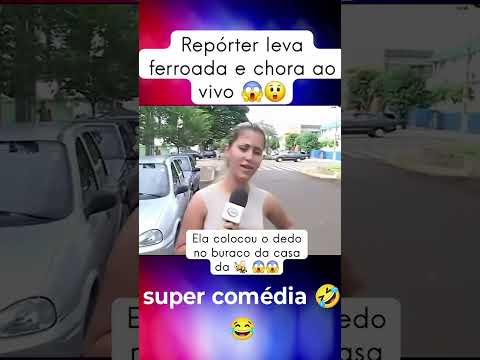 Repórter Foi Mexer No Buraco das Abelhas Na Árvore Levou Ferroada