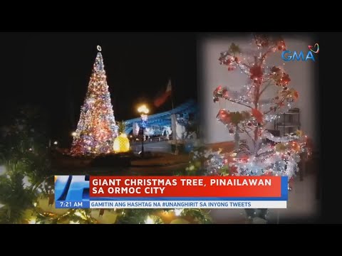 Giant Christmas Tree, pinailawan sa Ormoc City | Videos | GMA News Online