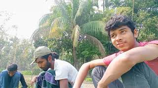 Cultivating Fruits And Vegetables In My Village Part 13