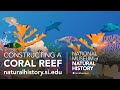 Coral Reef Ecosystem Dynamics