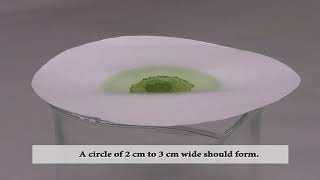 BSc SEPARATING COLOURS WITH PAPER