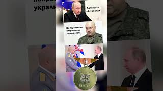 «Памятник Путину» и херсонские еноты: зоозащитники критикуют Олега Зубкова