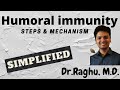 Humoral Immunity Concepts and Mechanisms