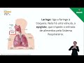 Funções e Estruturas do Sistema Respiratório