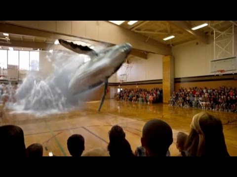 La tecnología de los hologramas, un campo abierto a las experiencias