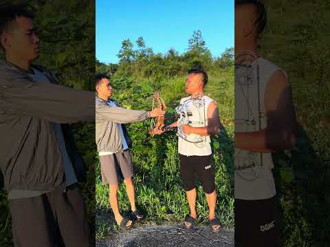 #复合弓 #狼王两用复合弓  我随便都行