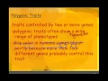 Genetics of Inheritance Patterns