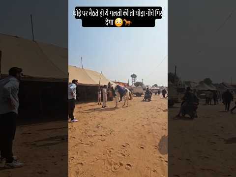 घोड़े पर बैठते ही ये गलती की तो घोड़ा नीचे गिरा देगा 😳🐎#HorseRiding #HorseLovers #DesiHorse #Ghoda