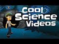 Biology Concepts and Functions