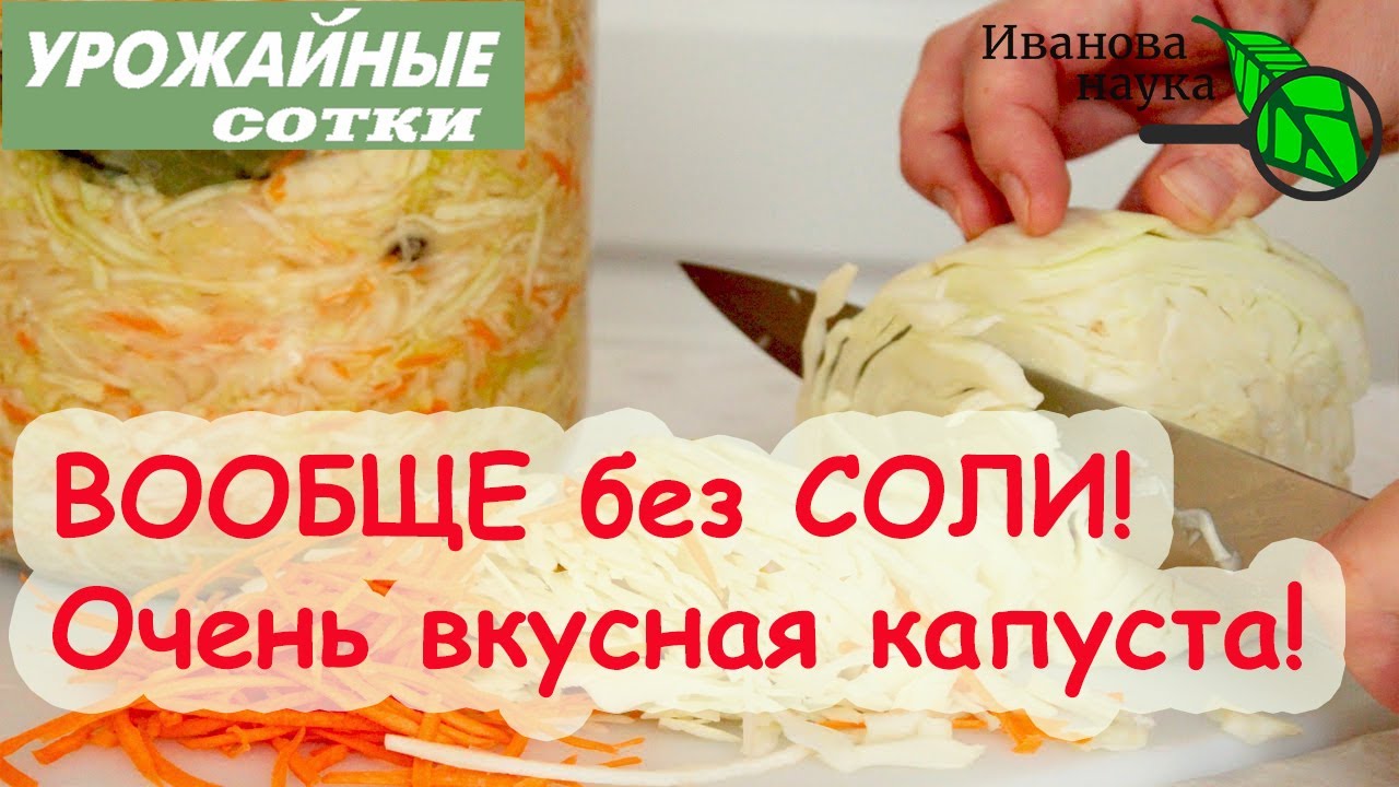Раскрыт секрет полезной капусты! Отлично подходит и гипертоникам, и диабетикам!