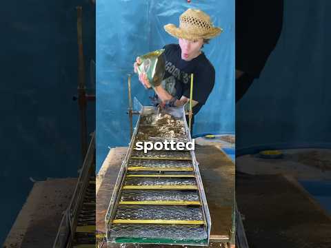 I Bought $100 Dirt To Find Gold, Diamonds, and Crystals