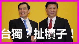 馬英九美國喊話：台獨不會成功、統一是選項， 習近平李克強感動不已、英九你重新當總統吧、