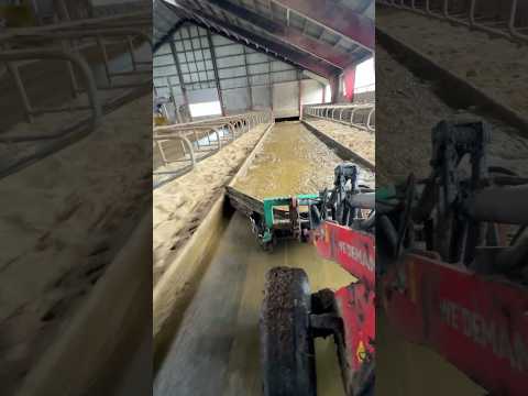 The best job) Cleaning with a tractor #tractor #cleaning