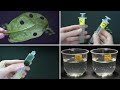 Leaf Disk Assay Experiment Concepts