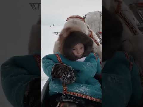 🤔 Одежда коренных народов Крайнего Севера #ямал #крайнийсевер #интересно