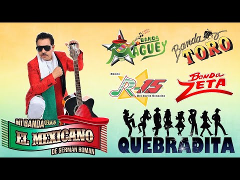 Lo Mejor de la Banda Mix Exitos - Banda Machos, Maguey, El Mexicano, Banda Zeta, Banda Toro... y Más