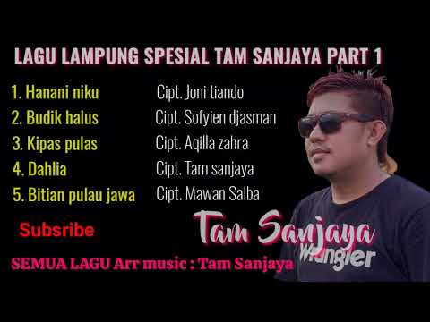 Lagu lampung Terbaru spesial TAM SANJAYA - Part 1