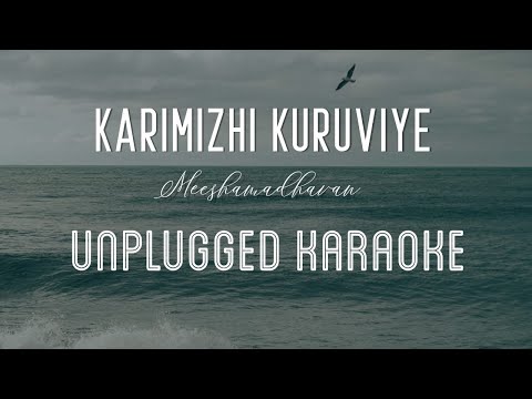 Karimizhi Kuruviye – Meeshamadhavan | Karaoke with Lyrics | unplugged | Vidyasagar | Sebin Xavier