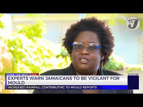 Experts Warn Jamaicans to be Vigilant Against Mould | TVJ News