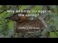 Birds' Nesting and Feeding Behaviors