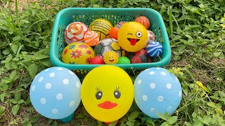 Mencari Bola Warna Warni, Bola Sepak, Bola Basket, Ikan, Bebek, Mobilan, Bola Kejutan, Tayo, Balon