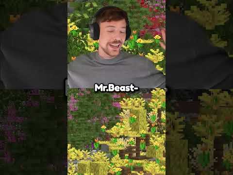 Người Việt Nam lên sóng Mr.Beast và chiến thắng...!?? #shorts