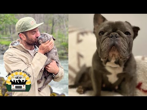 I have lost my best friend, my daughter, my favorite dog | The Asher House