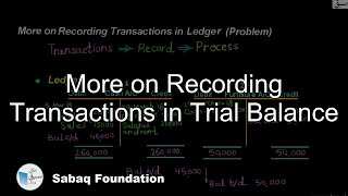 More on Recording Transactions in Trial Balance
