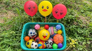 Kompilasi Video Bola Tasya Toys Mencari Bola Bola Basket, Bola Warna Warni, Ikan,Bebek,Mobilan,Balon