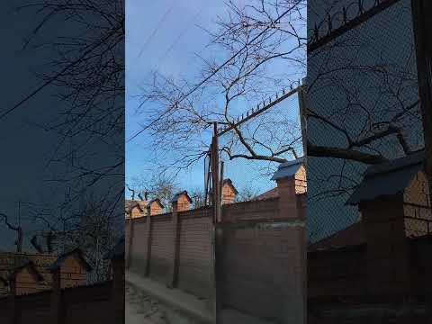 Так выглядит жадность