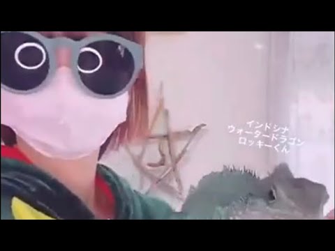 【TikTok】ペット紹介☆ #shorts