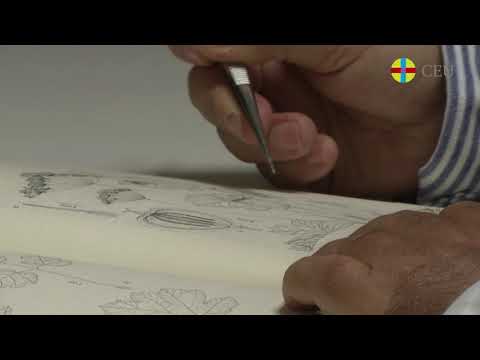 Semana-ciencia - videos - Las plantas que nos rodean: iniciación a la botánica