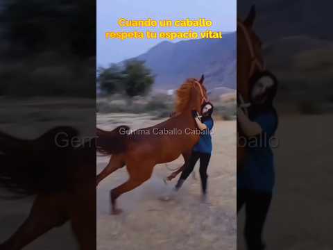 Caballo que se asusta. #caballos #horse